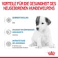 Royal Canin Baby Dog 1st Age Milk - Heads Up For Tails