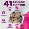 Whiskas Ocean Fish Dry Food For Kitten (2-12 Months) - Heads Up For Tails