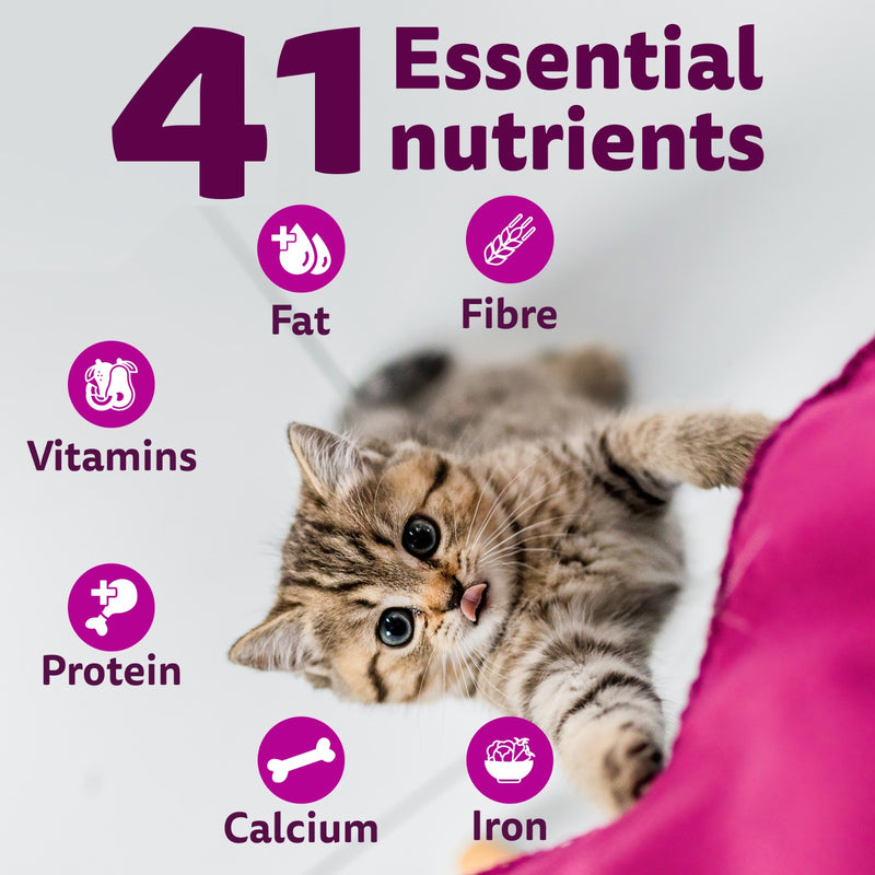 Whiskas Ocean Fish Dry Food For Kitten (2-12 Months) - Heads Up For Tails