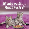 Whiskas Tasty Mix Wet Food Made With Real Fish (Salmon & Wakame Seaweed) With Chicken in Gravy For Adult (1+ year) Cat - 70 gm Pack - Heads Up For Tails