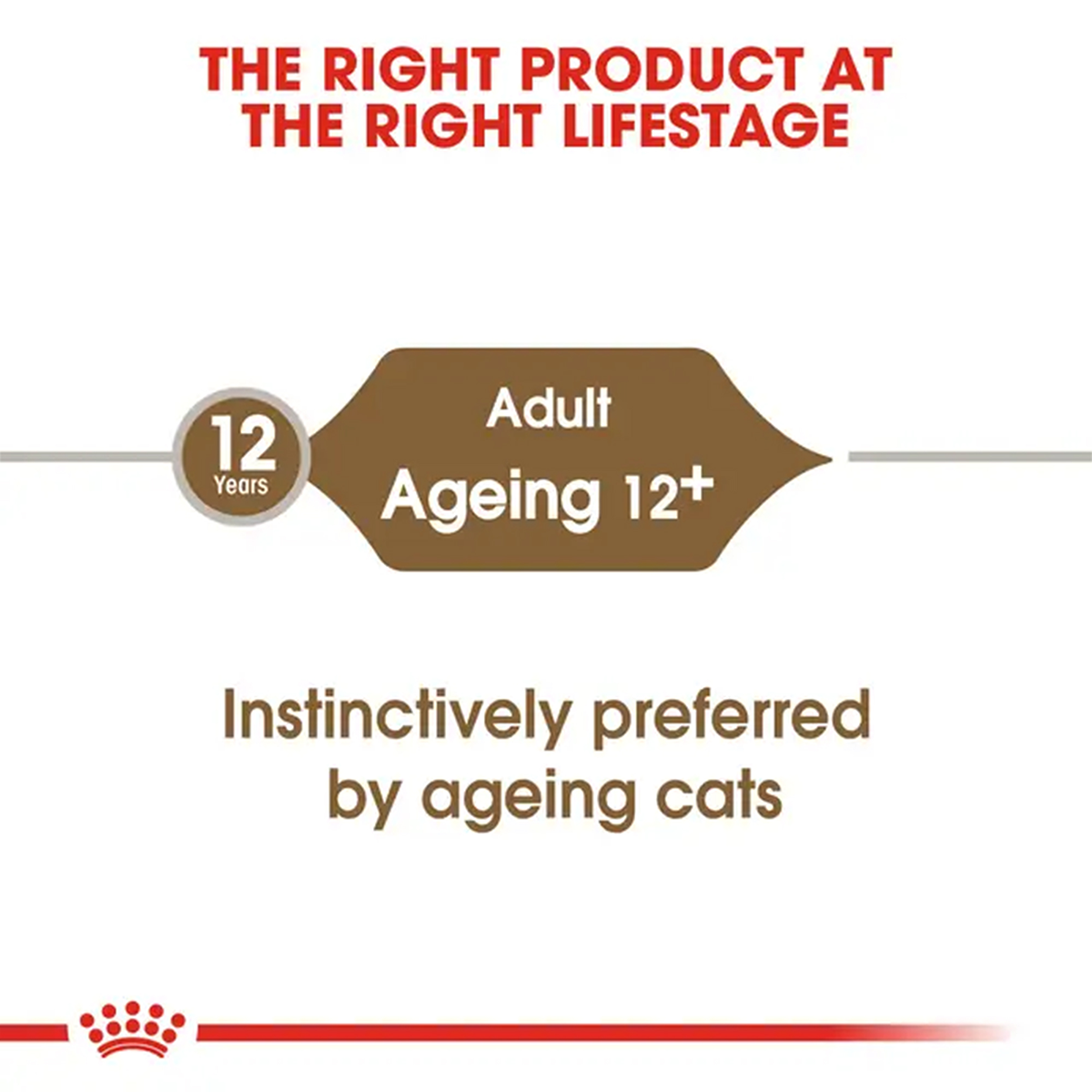 Royal Canin Ageing 12+ Gravy Wet Cat Food - 85 g packs