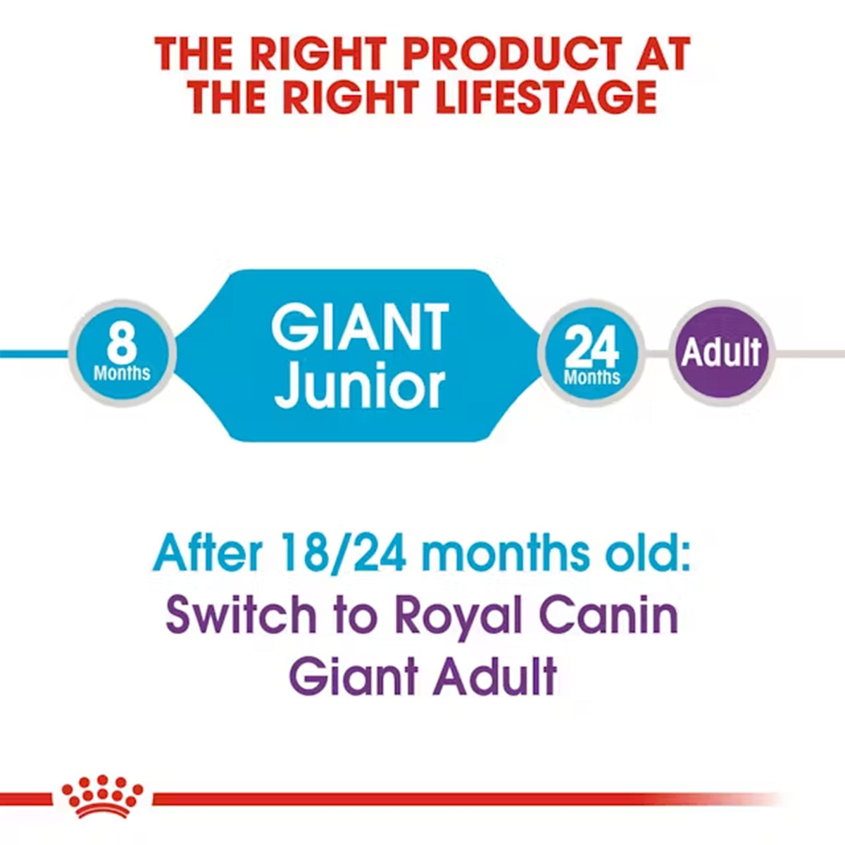 Royal Canin Giant Junior Dry Dog Food - Heads Up For Tails