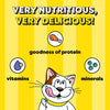 Temptations Cat Treat Savoury Salmon Flavour - 85g - Heads Up For Tails
