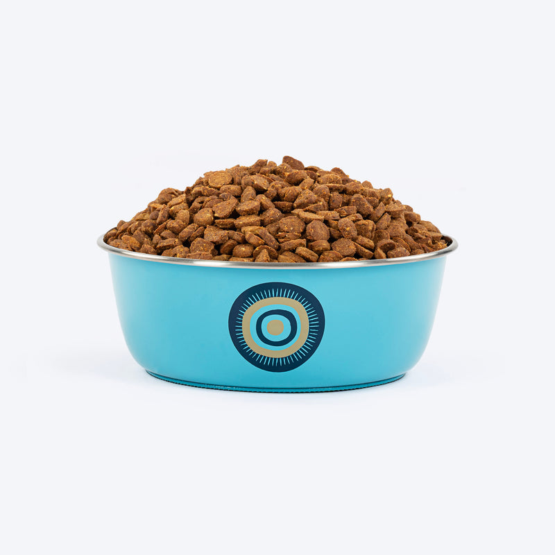 HUFT Evil Eye Printed Steel Bowl For Dog - Blue - Heads Up For Tails