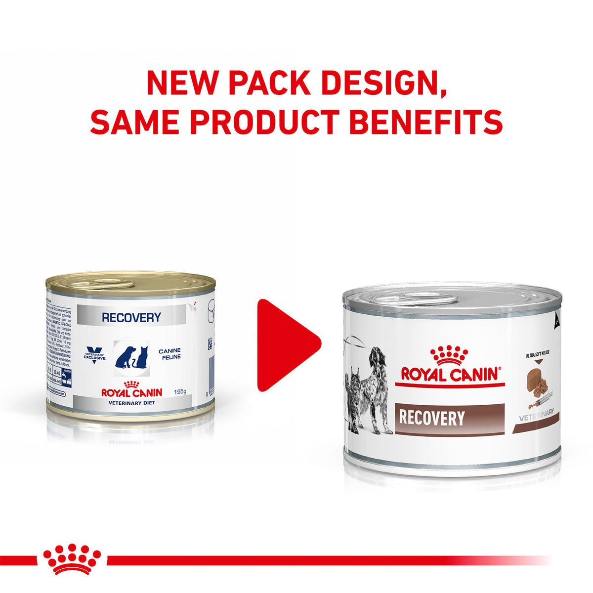 Royal Canin Veterinary Diet Recovery Canines & Felines Wet Food For Dog & Cat - 195 g - Heads Up For Tails