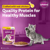 Whiskas Chicken in Gravy (2-12 Months) Wet Food For Junior Kitten - 80 gm Pack - Heads Up For Tails