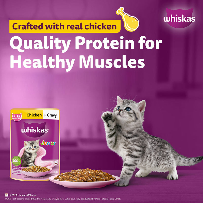 Whiskas Chicken in Gravy (2-12 Months) Wet Food For Junior Kitten - 80 gm Pack - Heads Up For Tails