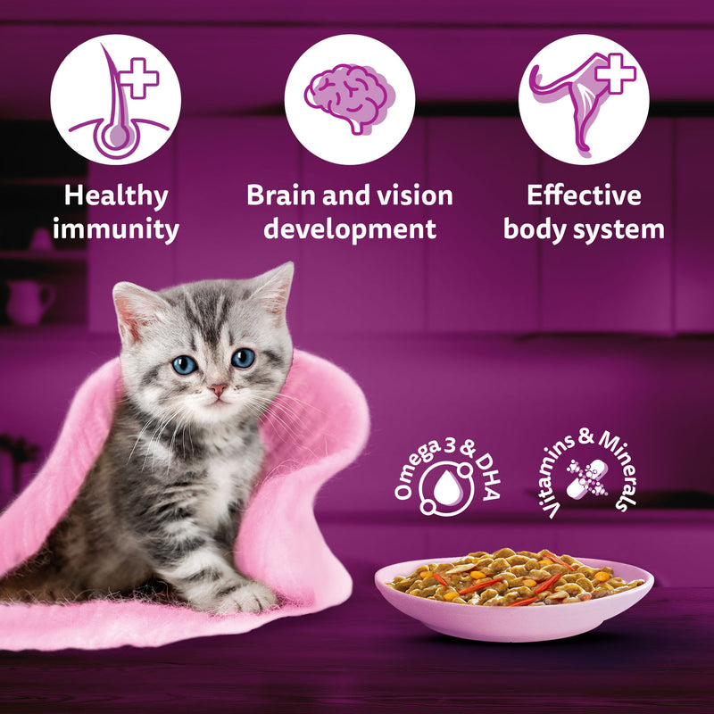 Whiskas Tasty Mix Seafood Cocktail With Carrot In Gravy Wet Food For Junior (2-12 Months) Kitten- 70 gm Pack - Heads Up For Tails
