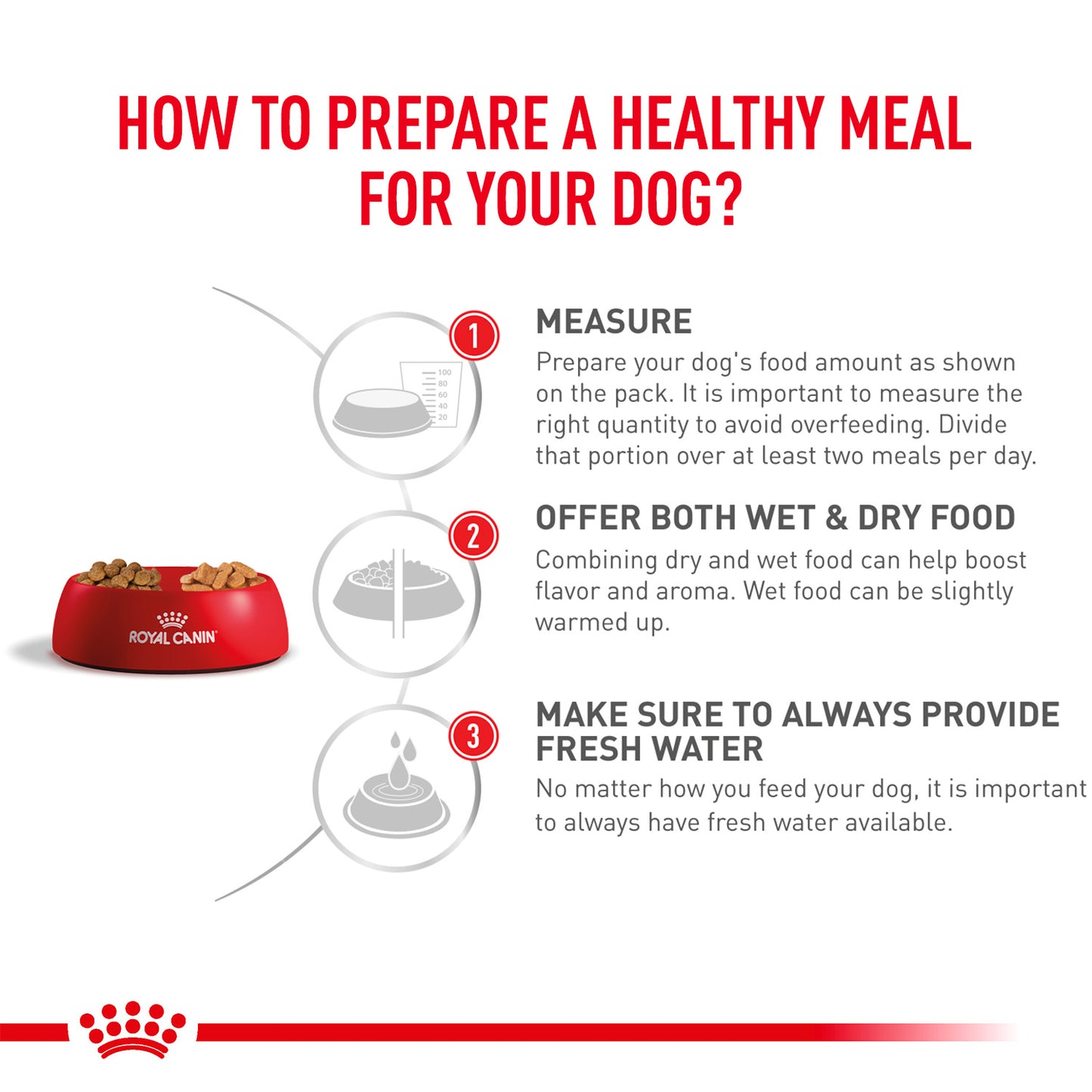 Royal Canin Gastrointestinal Wet Food Can For Dog - 400 g - Heads Up For Tails
