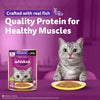 Whiskas Mackerel In Jelly (1+ Years) Adult Cat Wet Food - 80 gm Pack