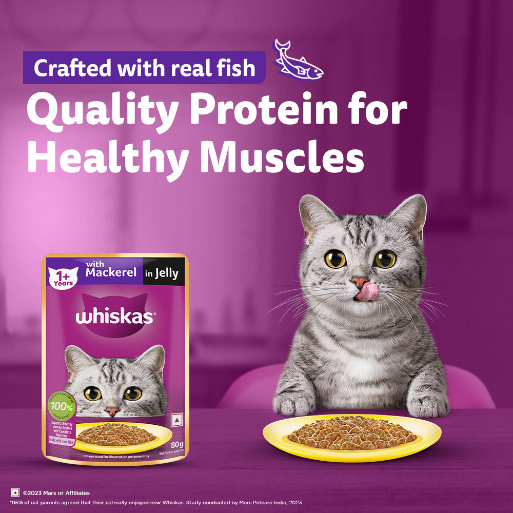 Whiskas Mackerel In Jelly (1+ Years) Adult Cat Wet Food - 80 gm Pack