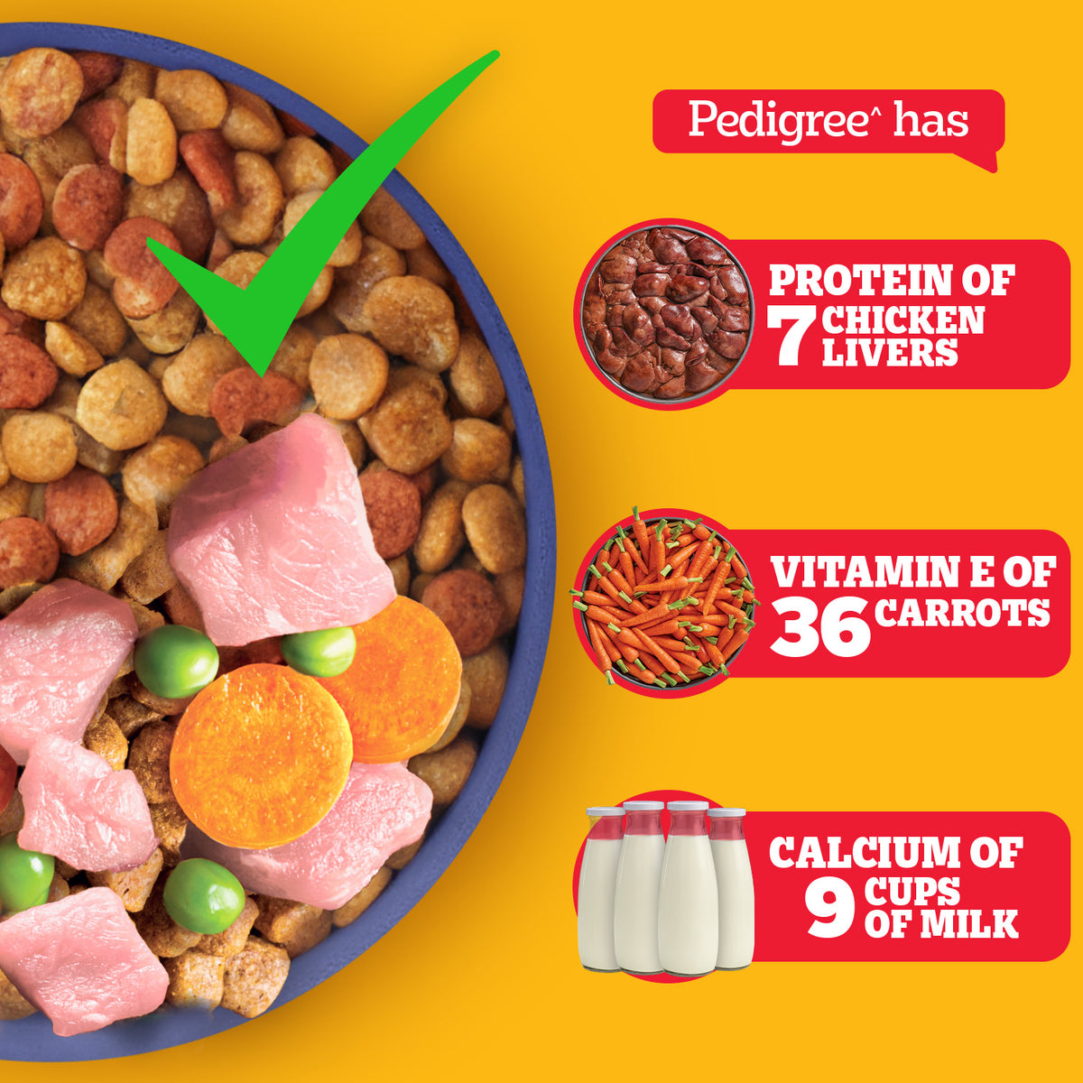 Pedigree Chicken & Milk Puppy Dry Dog Food (Contains 37 Essential Nutrients)