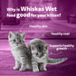 Whiskas Mackerel In Jelly Wet Food For Junior (2-12 Months) Kitten - 80 gm Pack - Heads Up For Tails