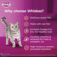 Whiskas Ocean Fish Wet Food For Adult Cat - 80 gm Pack - Heads Up For Tails
