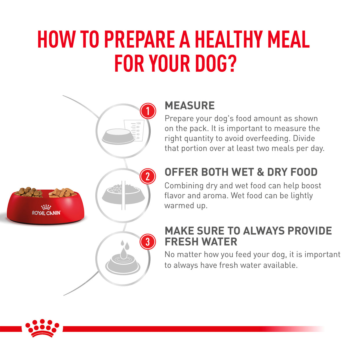 Royal Canin Veterinary Skintopic Dry Food For Small Dog - Heads Up For Tails