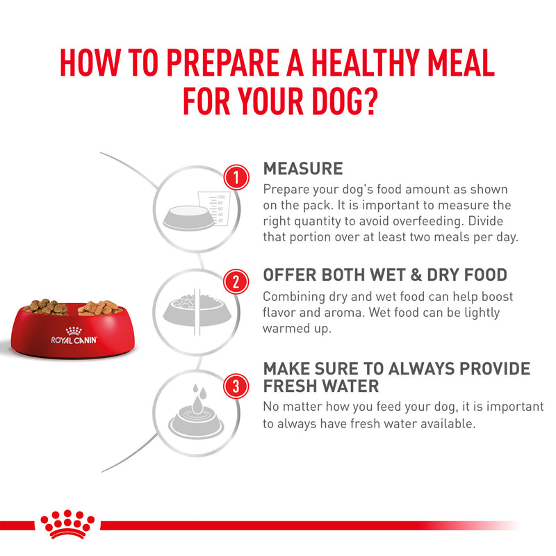 Royal Canin Veterinary Skintopic Dry Food For Small Dog - Heads Up For Tails