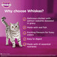 Whiskas Tasty Mix Wet Food Made With Real Fish (Salmon & Wakame Seaweed) With Chicken in Gravy For Adult (1+ year) Cat - 70 gm Pack