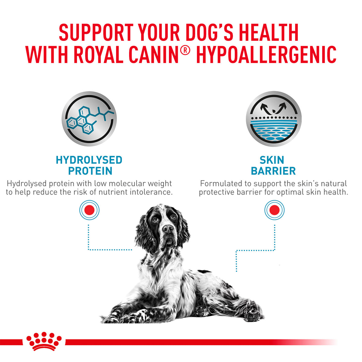 Royal Canin Hypoallergenic Veterinary Diet Wet Dog Food - 400 g - Heads Up For Tails