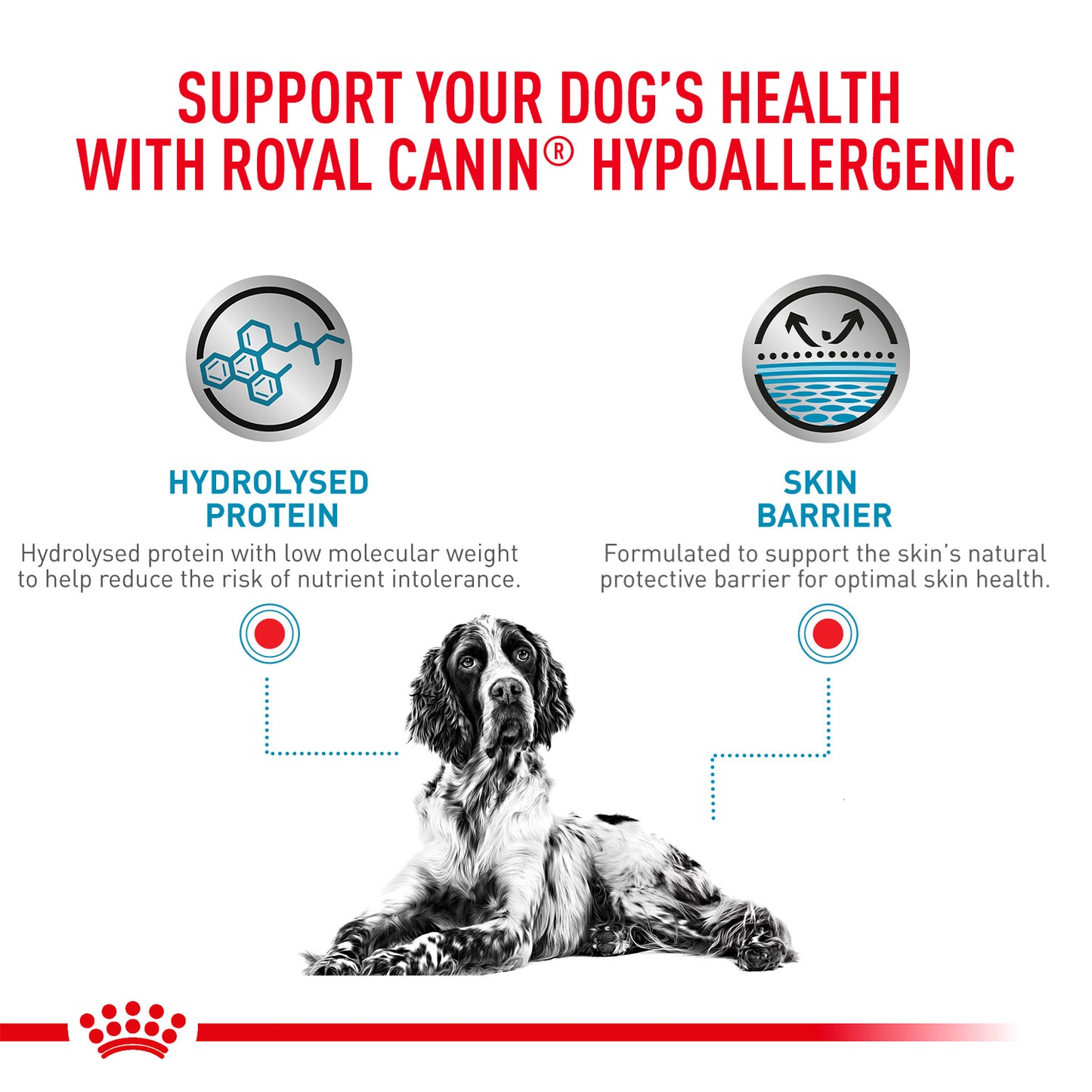 Royal Canin Hypoallergenic Veterinary Diet Wet Dog Food - 400 g - Heads Up For Tails