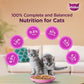 Whiskas Tasty Mix Seafood Cocktail With Carrot In Gravy Wet Food For Junior (2-12 Months) Kitten- 70 gm Pack - Heads Up For Tails