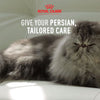 Royal Canin Persian Adult Dry Cat Food - Heads Up For Tails