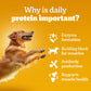 Pedigree Roasted Lamb Chunks In Gravy Adult Dog Wet Food - 70 gm