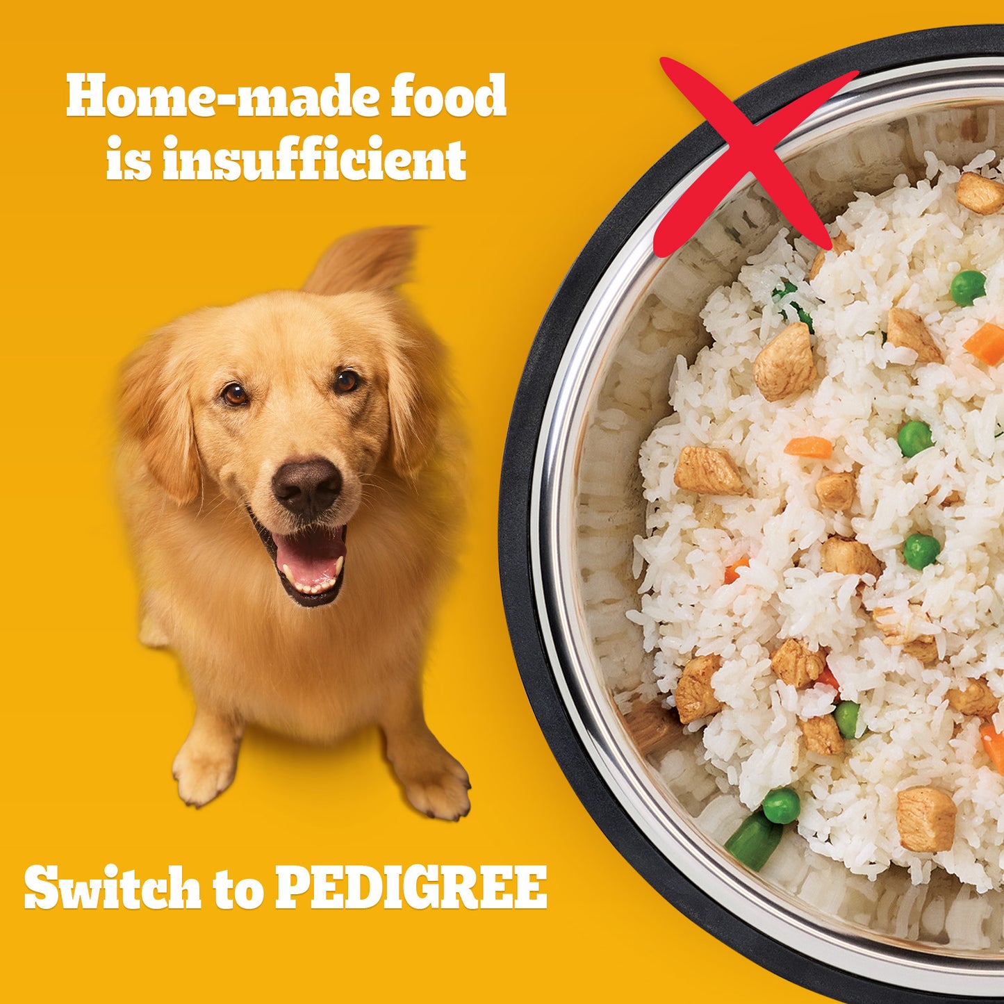 Pedigree Chicken & Vegetables Adult Dry Dog Food