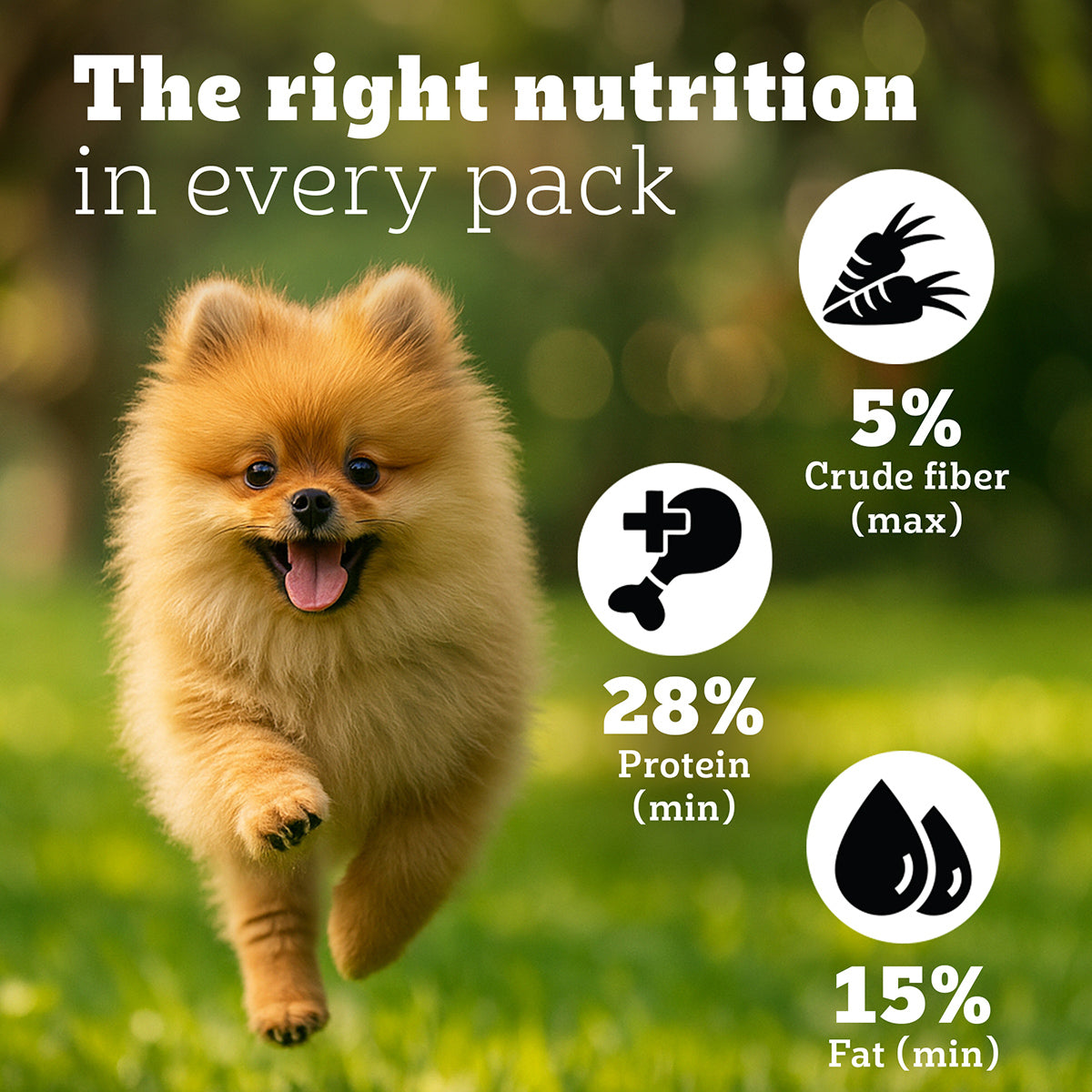 Pedigree PRO Expert Nutrition Small Breed (2-9 Months) Dry Puppy Food - Heads Up For Tails