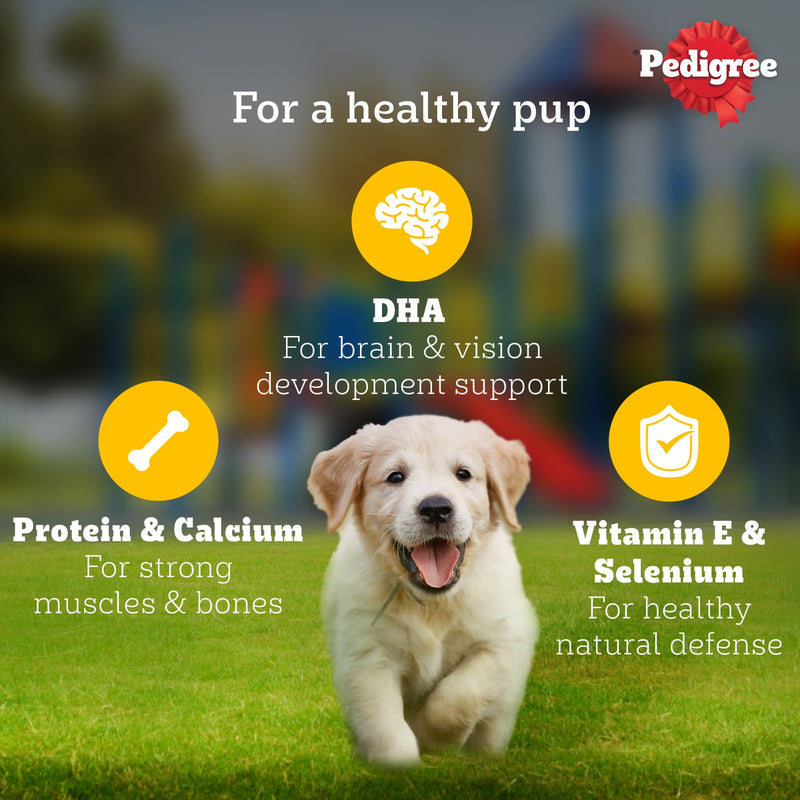 Pedigree Chicken & Liver Chunks In Gravy New Born Puppy Wet Food - 2.1 kg (30x0.07 kg)