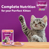 Whiskas Junior Kitten (2-12 Months) Salmon in Jelly Flavour Wet Cat Food - 80 gm Pack
