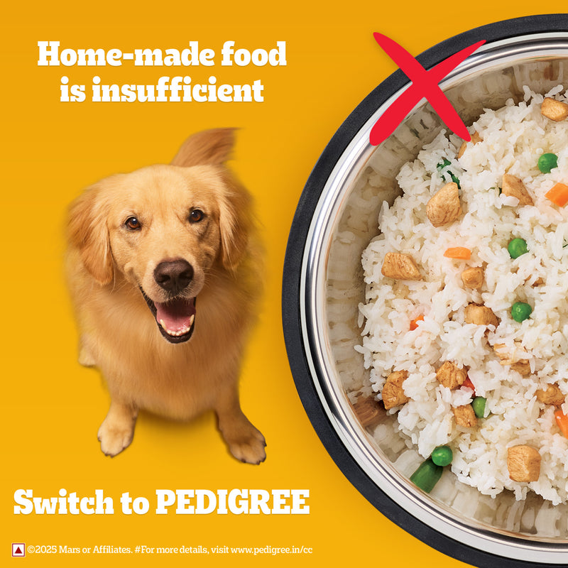 Pedigree 100% Vegetarian Dry Food For Adult Dog