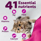 Whiskas Mackerel Flavour Dry Food For (2-12 Months) Kitten - Heads Up For Tails