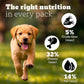 Pedigree PRO Expert Nutrition Dry Dog Food For Large Breed Puppy (3-18 Months) - Heads Up For Tails