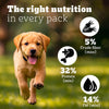 Pedigree PRO Expert Nutrition Dry Dog Food For Large Breed Puppy (3-18 Months) - Heads Up For Tails