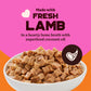 Kennel Kitchen (All Breeds & Ages) Lamb Chunks in Gravy Wet Dog Food - 80 g Packs - Heads Up For Tails