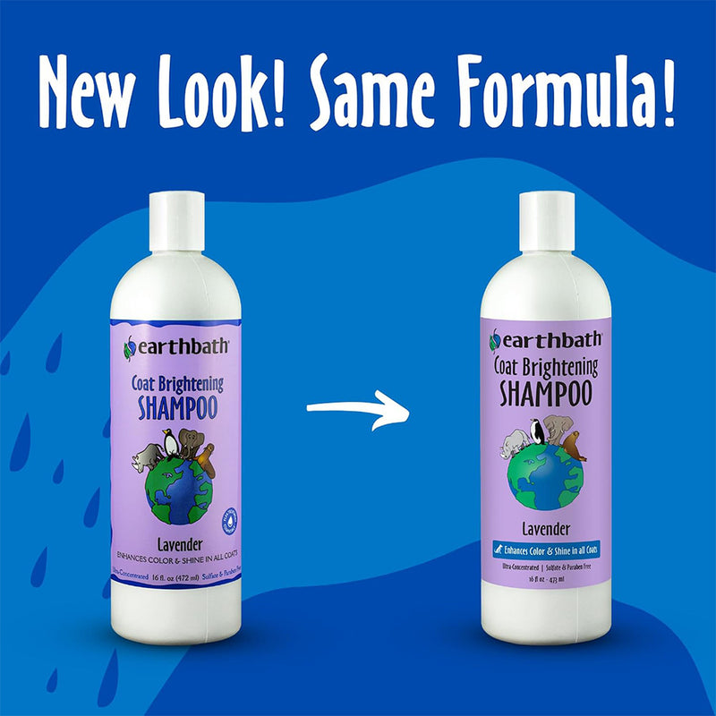Earthbath Coat Brightening Shampoo For Dog - Lavender - 472 ml