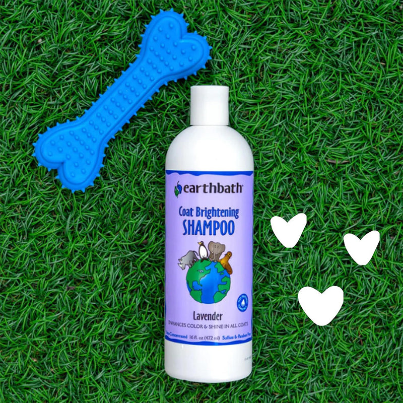 Earthbath Coat Brightening Shampoo For Dog - Lavender - 472 ml