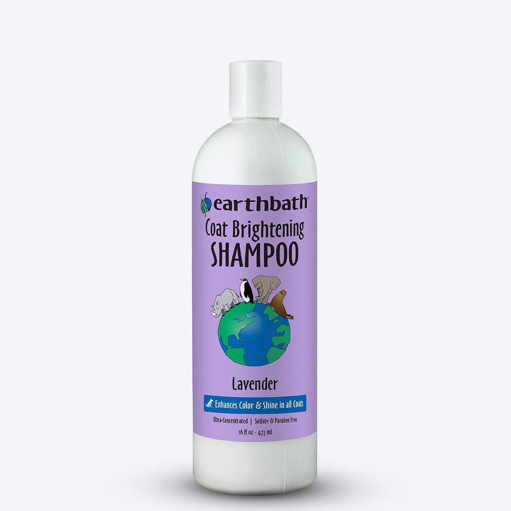 Earthbath Coat Brightening Shampoo For Dog - Lavender - 472 ml