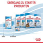 Royal Canin Baby Dog 1st Age Milk - Heads Up For Tails