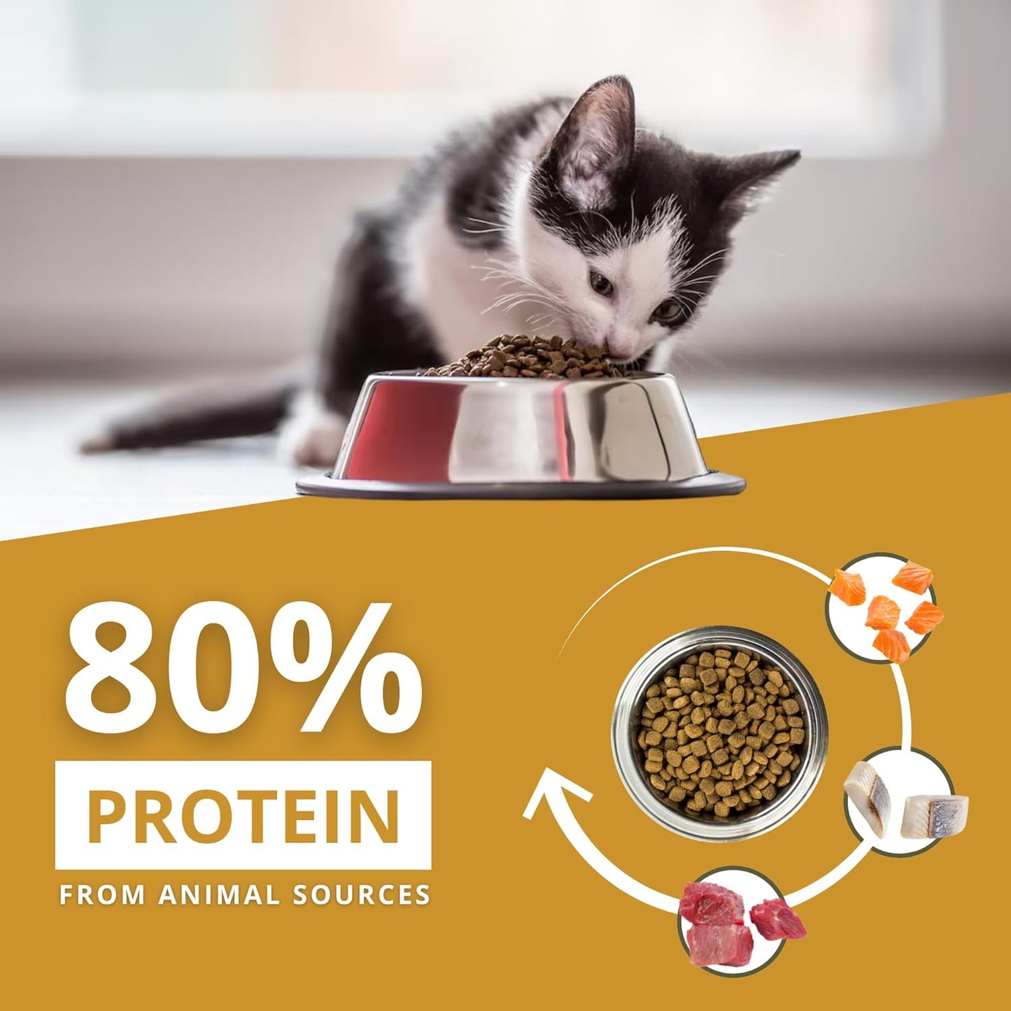 Charm Premium Lamb & Salmon Recipe Grain Free Dry Food For Cat - Heads Up For Tails