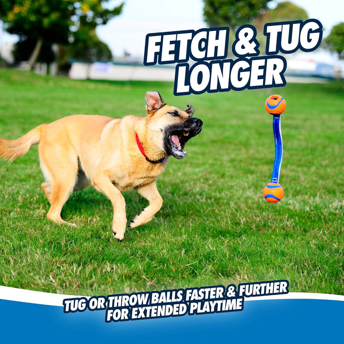Chuckit! Ultra Duo Tug Dog Toy - Orange & Blue - M - Heads Up For Tails
