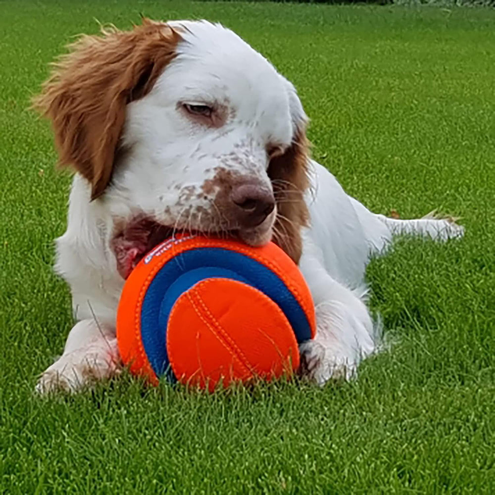 Chuckit! Kick Fetch Dog Toy - Orange & Blue - L - Heads Up For Tails