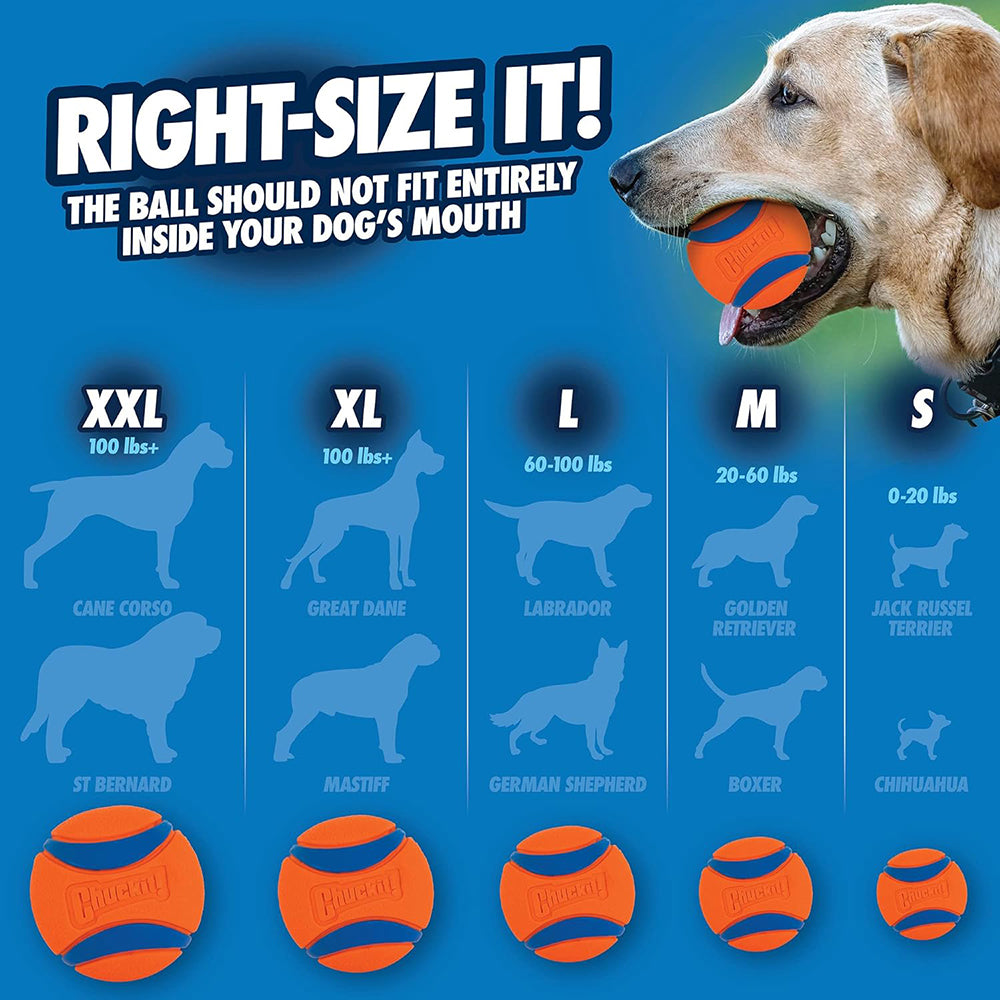 Chuckit! Ultra Ball Dog Toy - Orange & Blue_10