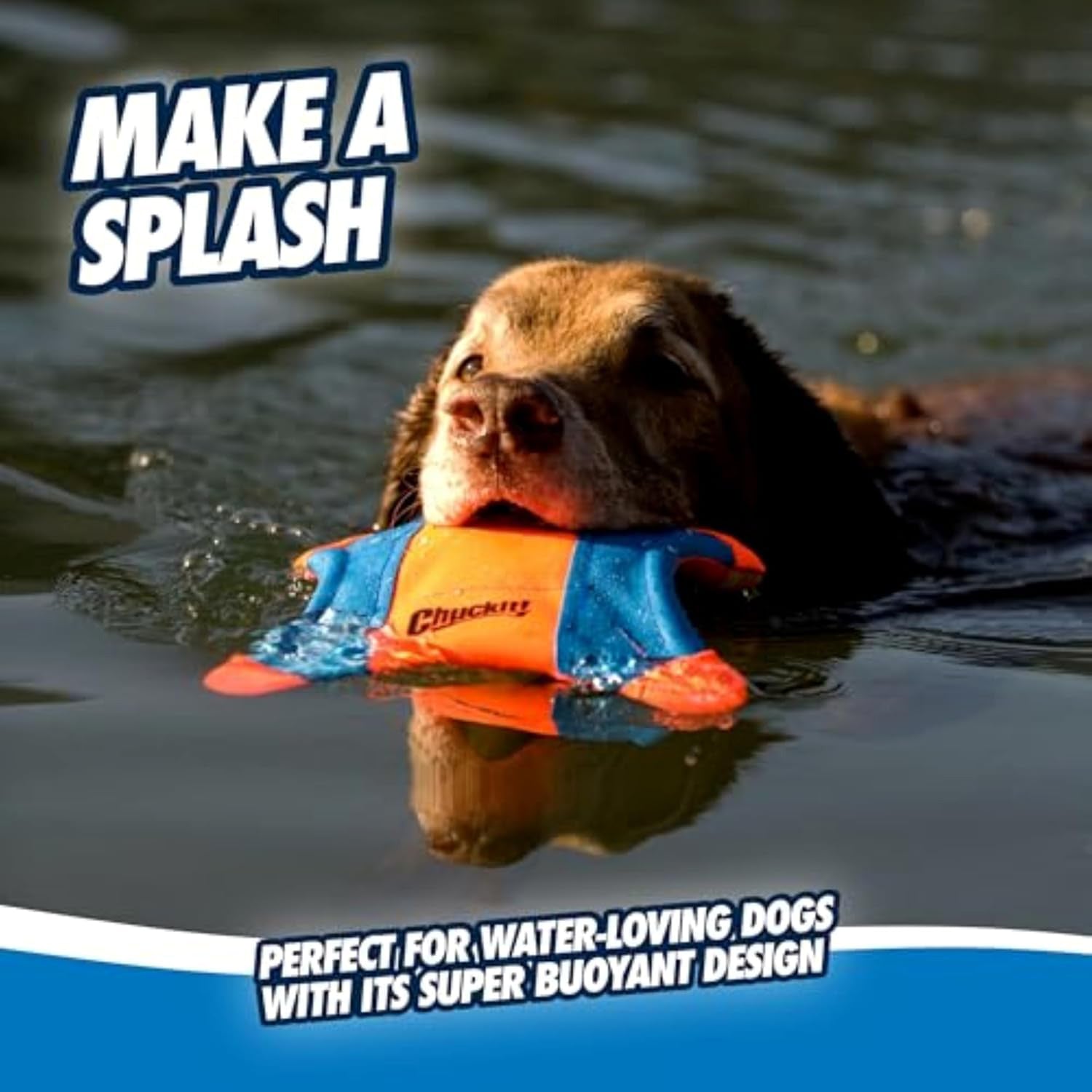 Chuckit! Flying Squirrel Dog Toy - M - Heads Up For Tails