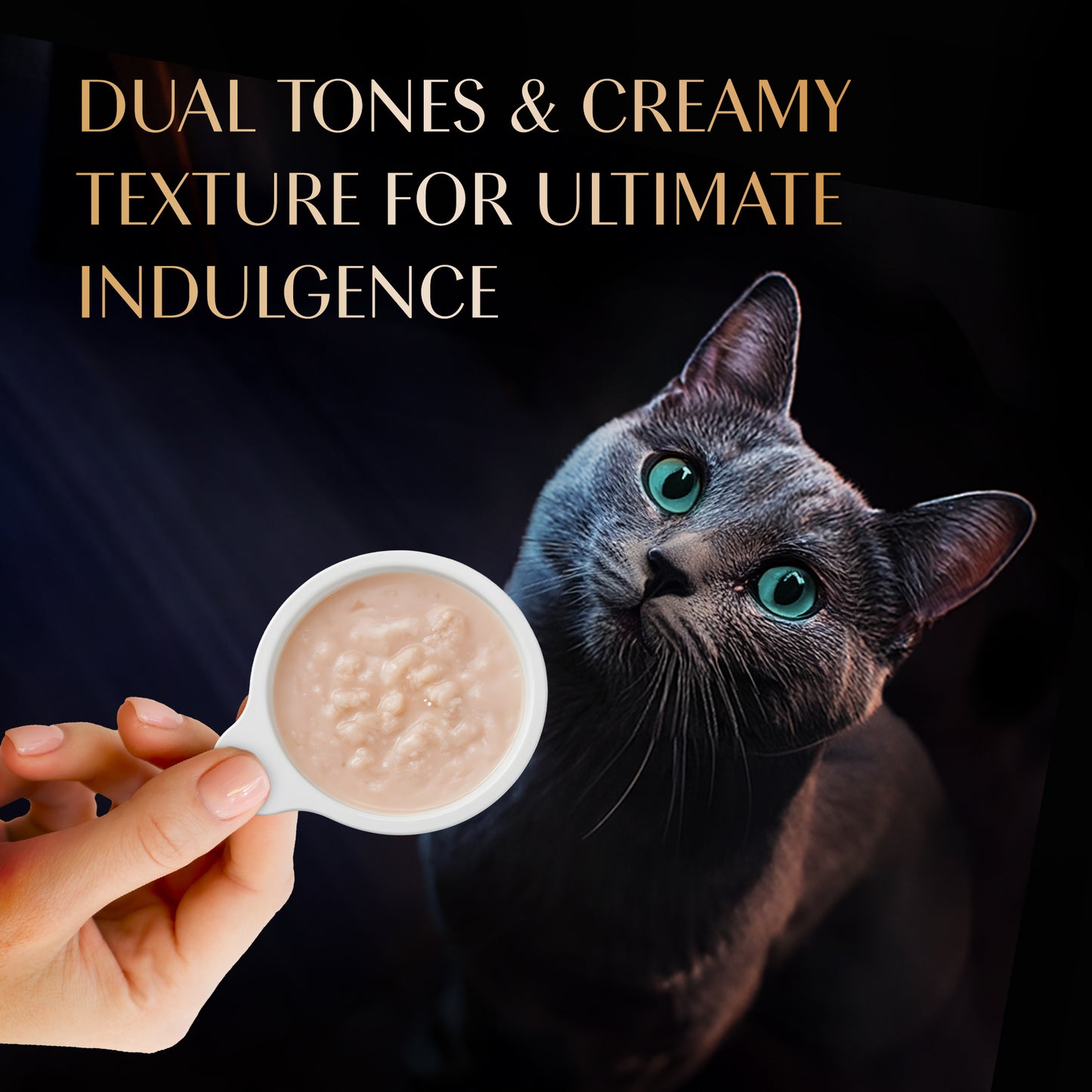 Sheba Melty Spoons Creamy Chicken & Chicken Shreds Treat For Cat - 40 gm Packs