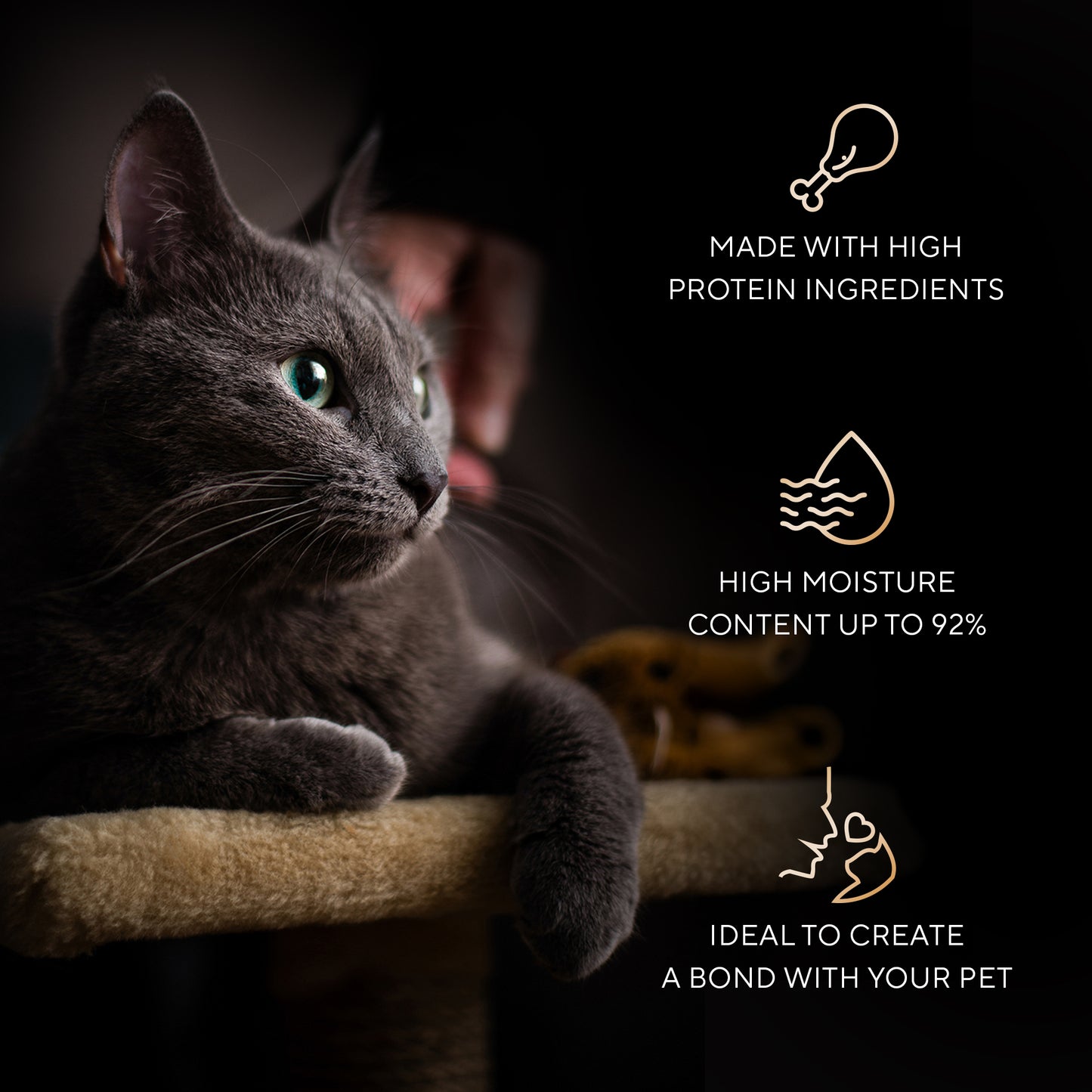 Sheba Melty Spoons Creamy Chicken & Chicken Shreds Treat For Cat - 40 gm Packs