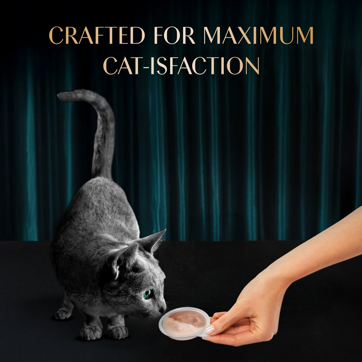 Sheba Melty Spoons Maguro Flavour With Tuna Cream Treat For Cat - 40 gm Packs - Heads Up For Tails