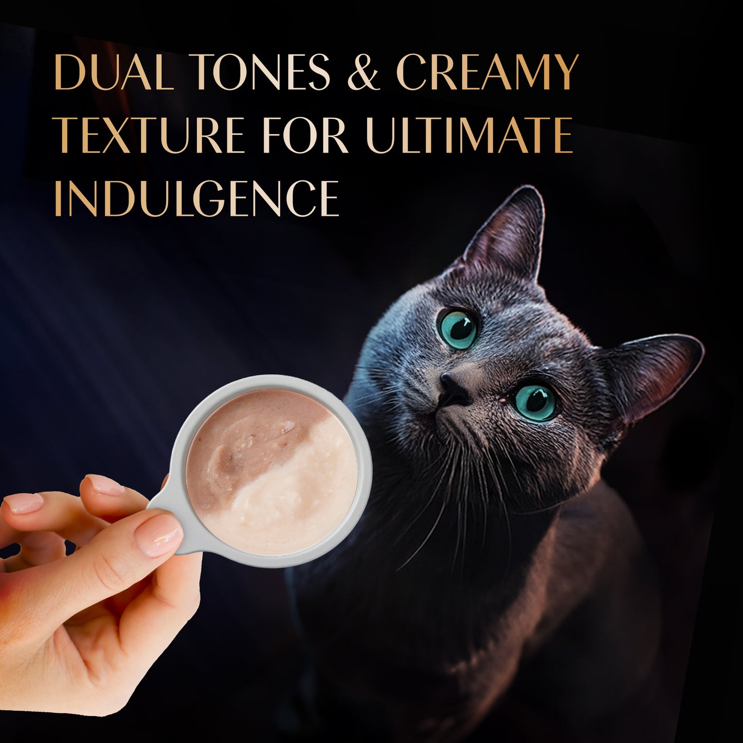 Sheba Melty Spoons Maguro Flavour With Tuna Cream Treat For Cat - 40 gm Packs