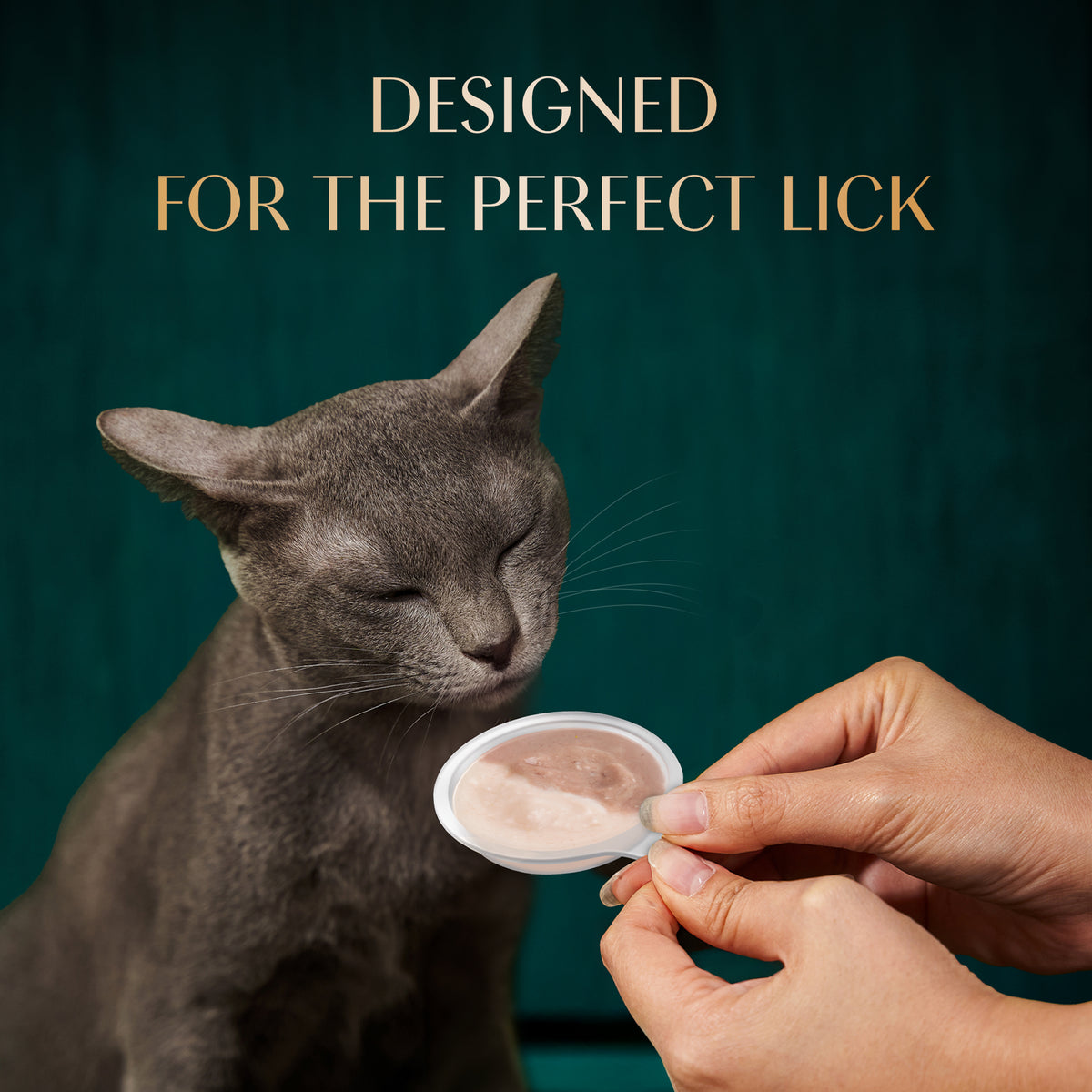 Sheba Melty Spoons Maguro Flavour With Tuna Cream Treat For Cat - 40 gm Packs - Heads Up For Tails