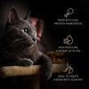 Sheba Melty Spoons Maguro Flavour With Tuna Cream Treat For Cat - 40 gm Packs - Heads Up For Tails